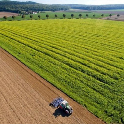 Παράταση υποβολής αιτήσεων για το πρόγραμμα βιολογικής γεωργίας και κτηνοτροφίας