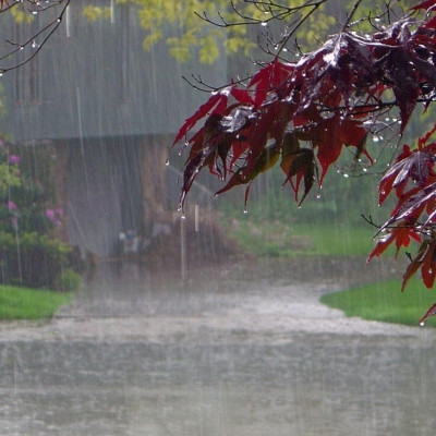 Δήμος Σερρών: Σε κατάσταση αυξημένης ετοιμότητας ενόψει της κακοκαιρίας «ERMINIO»