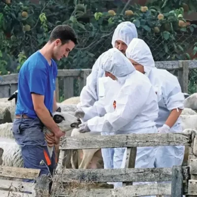 ΠΑΣΟΚ Σερρών -Η αιγοπροβατοτροφία σε οριακό σημείο