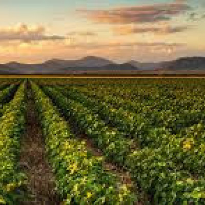 ΠΟΓΕΔΥ -Πακέτο με έντονο “μετά” (ΘΑ)  και λιγότερο “τώρα”