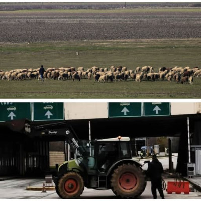 Λαϊκή Συσπείρωση: Πρόταση για απαλλαγή αγροτοκτηνοτρόφων από τα δημοτικά τέλη