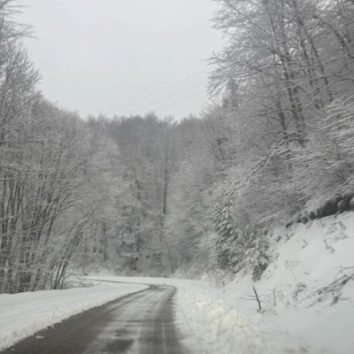 Λαϊλιάς: Σε «κλοιό» χιονιά το βουνό – Πρόωρο κλείσιμο για το Χιονοδρομικό και οδηγίες προς τους οδηγούς