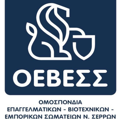 Παραίτηση Βασίλη Μαντζαρούδη από το ΔΣ της ΟΕΒΕΣΣ