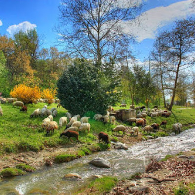 Με επιτυχία η εκδρομή του ΣΥΠΕΚΑΑΣ Σερρών στο Τσεπέλοβο Ζαγορίου
