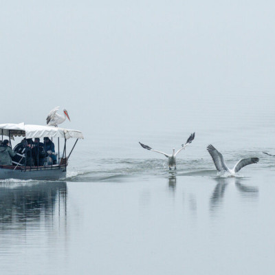 Μαρία Παπαδημητρίου -Λίμνη Κερκίνη και απουσία οικοτουρισμού από την τουριστική στόχευση της περιφέρειας