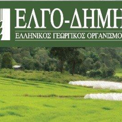 Ομάδα διαχείρισης κρίσης και 10 κτηνίατροι του ΕΛΓΟ-ΔΗΜΗΤΡΑ μεταβαίνουν άμεσα στο νησί για την αντιμετώπιση του αφθώδους πυρετού στη Λέσβο