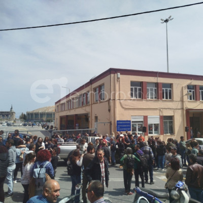 Μυτιλήνη: Μπλόκο στις σφαγές ολόκληρων κοπαδιών από τους κτηνοτρόφους - Νέα σύσκεψη στο υπουργείο