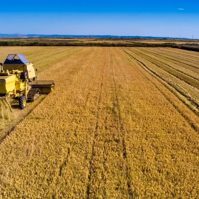 Ενεργοί Πολίτες Σερρών - Myseety" -Η επίδραση της ποσότητας του αρδευτικού νερού στην απόδοση και τα ποιοτικά χαρακτηριστικά καλλιεργειών ρυζιού & βαμβακιού