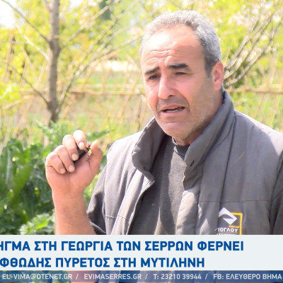 Μεγάλη ζημιά στους αγρότες των Σερρών από τον αφθώδη πυρετό στη Λέσβο