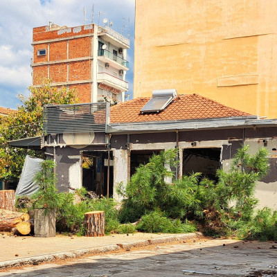Ενεργοί Πολίτες Σερρών: Θράσος δίχως όρια. Έκοψαν τα δέντρα του ΚΡΟΝΙΟΥ, τα οποία αποτελούσαν τοπόσημα για την πόλη μας