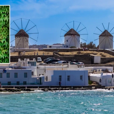 Πώς σκοτώθηκε η 37χρονη Ιταλίδα στη Μύκονο λίγο πριν τον γάμο της: Η μοιραία στροφή και η σφοδρή σύγκρουση