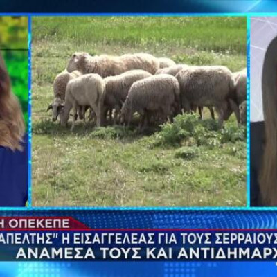 Σέρρες - ΟΠΕΚΕΠΕ: Καταπέλτης η εισαγγελέας για τους 32 Σερραίους αγρότες