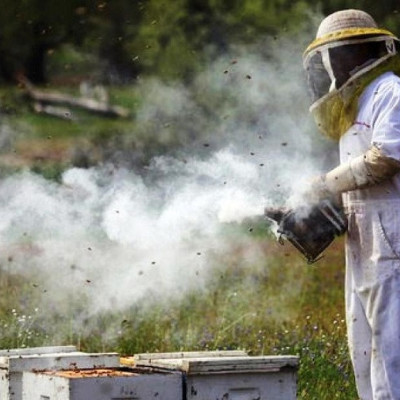 Λήψη προληπτικών μέτρων από μελισσοκόμους κατά την αντιπυρική περίοδο
