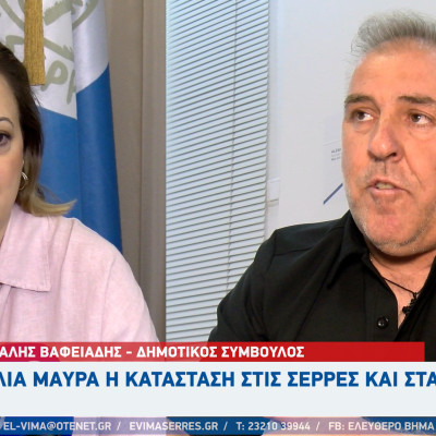 Μιχάλης Βαφειάδης- Σέρρες: Ο ψεύτης και ο κλέφτης τον πρώτο χρόνο χαίρονται