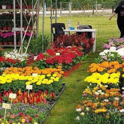 Η 25η Ανθοκομική Έκθεση Μονόβρυσης στις 7 Μαΐου ανοίγει τις πύλες της