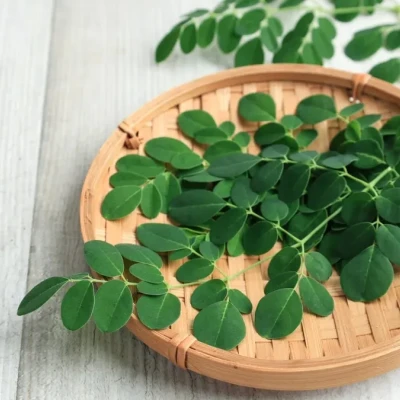 Το ταπεινό φυτό που «καθαρίζει» το νερό από μικροπλαστικά με φυσικό τρόπο