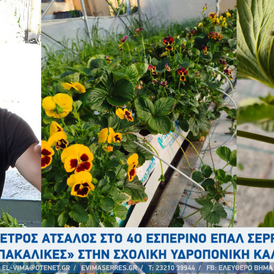 Ο Πέτρος Άτσαλος στο 4ο εσπερινό ΕΠΑΛ Σερρών - Από τις «μπακάλικες» στην σχολική υδροπονική καλλιέργεια