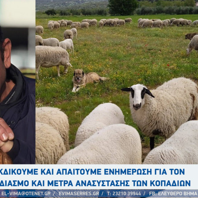 Σάκης Πίσιος - Σέρρες: Διεκδικούμε και απαιτούμε ενημέρωση για τον σχεδιασμό και μέτρα ανασύστασης των κοπαδιών