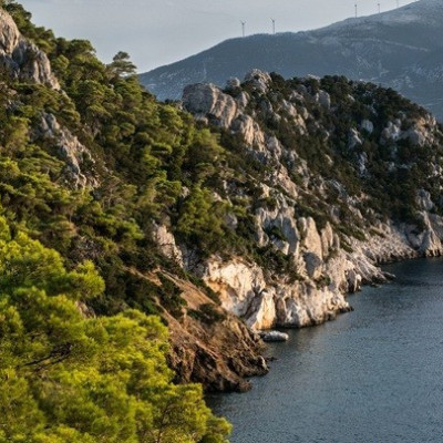 Μαρία Παπαδημητρίου -Κοπή εμβληματικών δέντρων στην Πλατεία Κρονίου στις Σέρρες