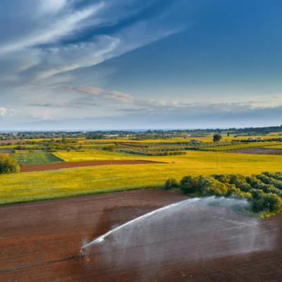 ΠΟΓΕΔΥ: Τι θα γίνει με το ταμείο γεωργίας και κτηνοτροφίας;