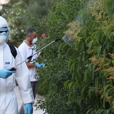 Ιός Δυτικού Νείλου: 42 περιστατικά στην Ελλάδα - Έντονη δραστηριότητα στην Αττική