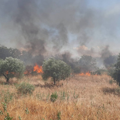 Οριοθετήθηκε η πυρκαγιά στην Οινούσσα