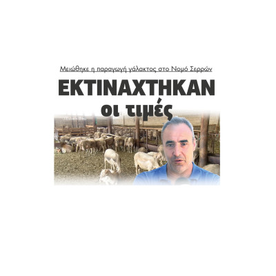 Μειώθηκε η παραγωγή γάλακτος στο Νομό Σερρών - Εκτινάχτηκαν οι τιμές