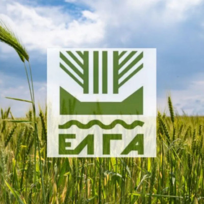 ΕΛΓΑ -1,2 εκατ. ευρώ σε 441 δικαιούχους για τις ζημιές από πυρκαγιές του 2022