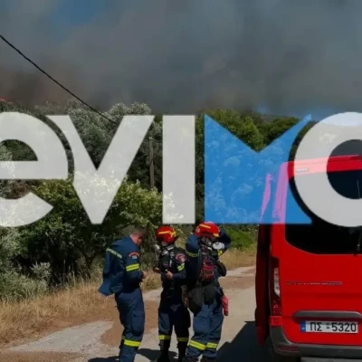 Φωτιά στα Εύβοια: Καίγεται δάσος κοντά στα Μεσοχώρια – Ήχησε το 112 και συνδρομή από εναέρια μέσα