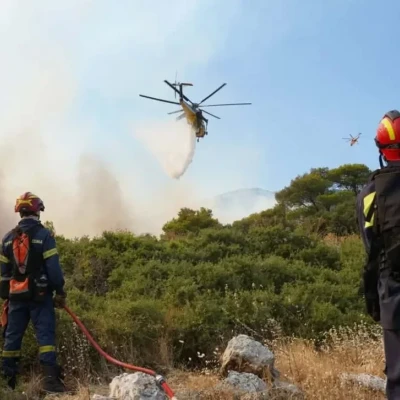 Φωτιά στη Βοιωτία: Καίγεται δάσος ανάμεσα σε Τσουκαλάδες και Άγιο Βλάσιο - Ενισχύθηκαν οι δυνάμεις
