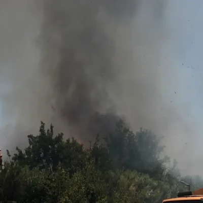 Γυναίκα συνελήφθη για πρόκληση πυρκαγιάς σε ξερά χόρτα στην Αθήνα – Άνδρας έφαγε πρόστιμο 1.312 ευρώ στη Χίο