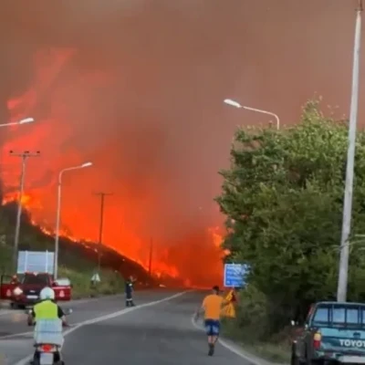 Φωτιά Χαλκιδική: Καταδίκη ΕΣΗΕΜΘ για την επίθεση σε συνεργείο του MEGA στη Σίβηρη