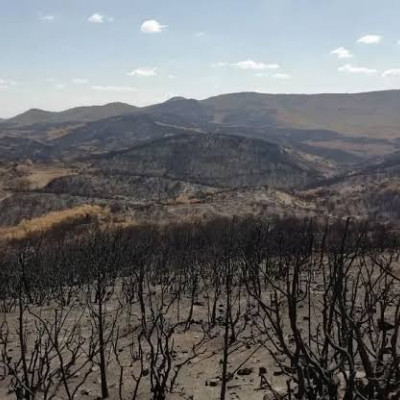 ΠΟΔΕΓΥ: Αλλαγή του συστήματος δασοπυρόσβεσης εδώ και τώρα