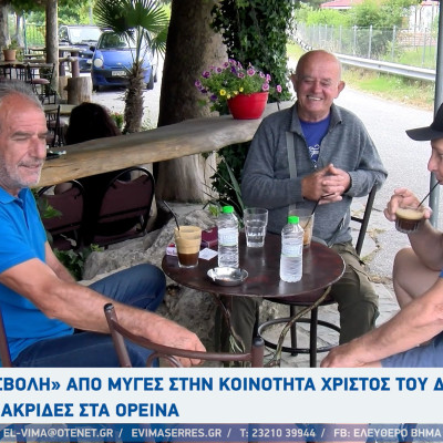 Χριστός - Σέρρες: Αγανακτισμένοι οι κάτοικοι από τις μύγες - Ξεκινάνε αυτή την εποχή και πάει μέχρι Νοέμβριο
