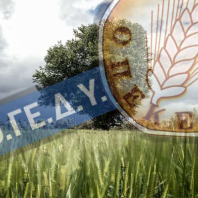ΠΟΔΕΓΥ- 3 ακόμα νεκροί πυροσβέστες – Η πολιτεία δεν μπορεί να μετρά ήρωες