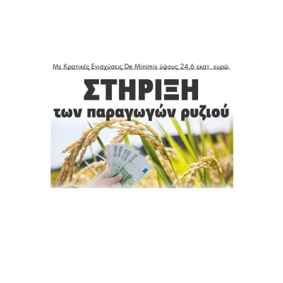 Στήριξη των παραγωγών ρυζιού με Κρατικές Ενισχύσεις De Minimis ύψους 24,6 εκατ. ευρώ
