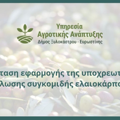 Παράταση εφαρμογής της υποχρεωτικής δήλωσης συγκομιδής ελαιοκάρπου έως την 1η Οκτωβρίου 2027