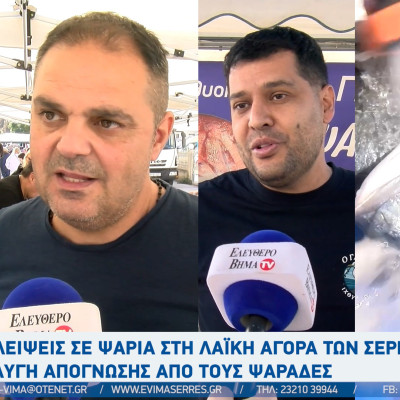 Σέρρες: Η απεργία των ψαράδων φέρνει ελλείψεις σε ψαράδικα και λαϊκή αγορά