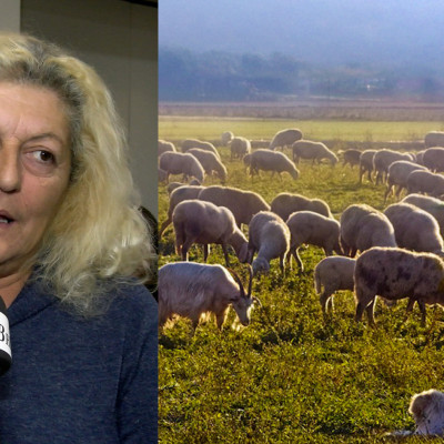 Ελπίδα Σιδηροπούλου: "Τεράστια κρίση καταστροφής της ελληνικής κτηνοτροφίας και περιφέρειας"