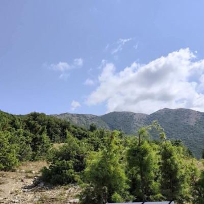 Πρωτοβουλία πολιτών και φορέων για τη Διάσωση του Μενοικίου: Καταθέσαμε έγκαιρα προσφυγή στο ΣτΕ πριν τη λήξη της προθεσμίας.