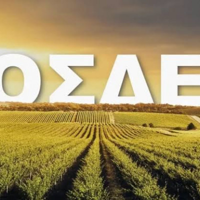 ΥΠΑΑΤ: Χωρίς πρόσθετες υποχρεώσεις για τους αγρότες το ΟΣΔΕ 2026 - Από το 2027 η υποχρεωτική εγγραφή στο ΜΑΑΕ