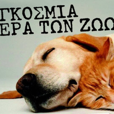 Μήνυμα Αρχηγού Ελληνικής Αστυνομίας για την Παγκόσμια Ημέρα των Ζώων