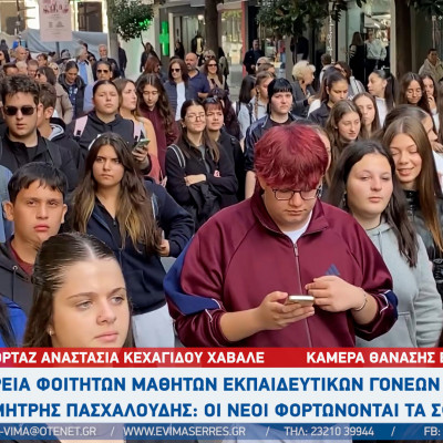 Σέρρες: Εκπαιδευτικοί και μαθητές της Πρωτοβάθμιας Εκπαίδευσης βγήκαν στους δρόμους