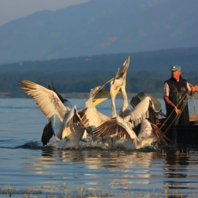 ΚΙΝΑΛ Σερρών: Το φυσικό περιβάλλον παραδίδεται στα επιχειρηματικά συμφέροντα